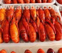 冷凍水產品鯧魚熱賣促銷，家庭餐桌的鮮美新選擇