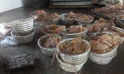 挑魚干不翻車 錦鴻品評(píng)舟山魷魚干中條的掛門必知事